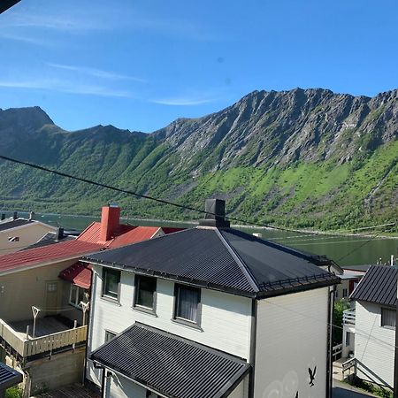 شقة House Gryllefjord المظهر الخارجي الصورة