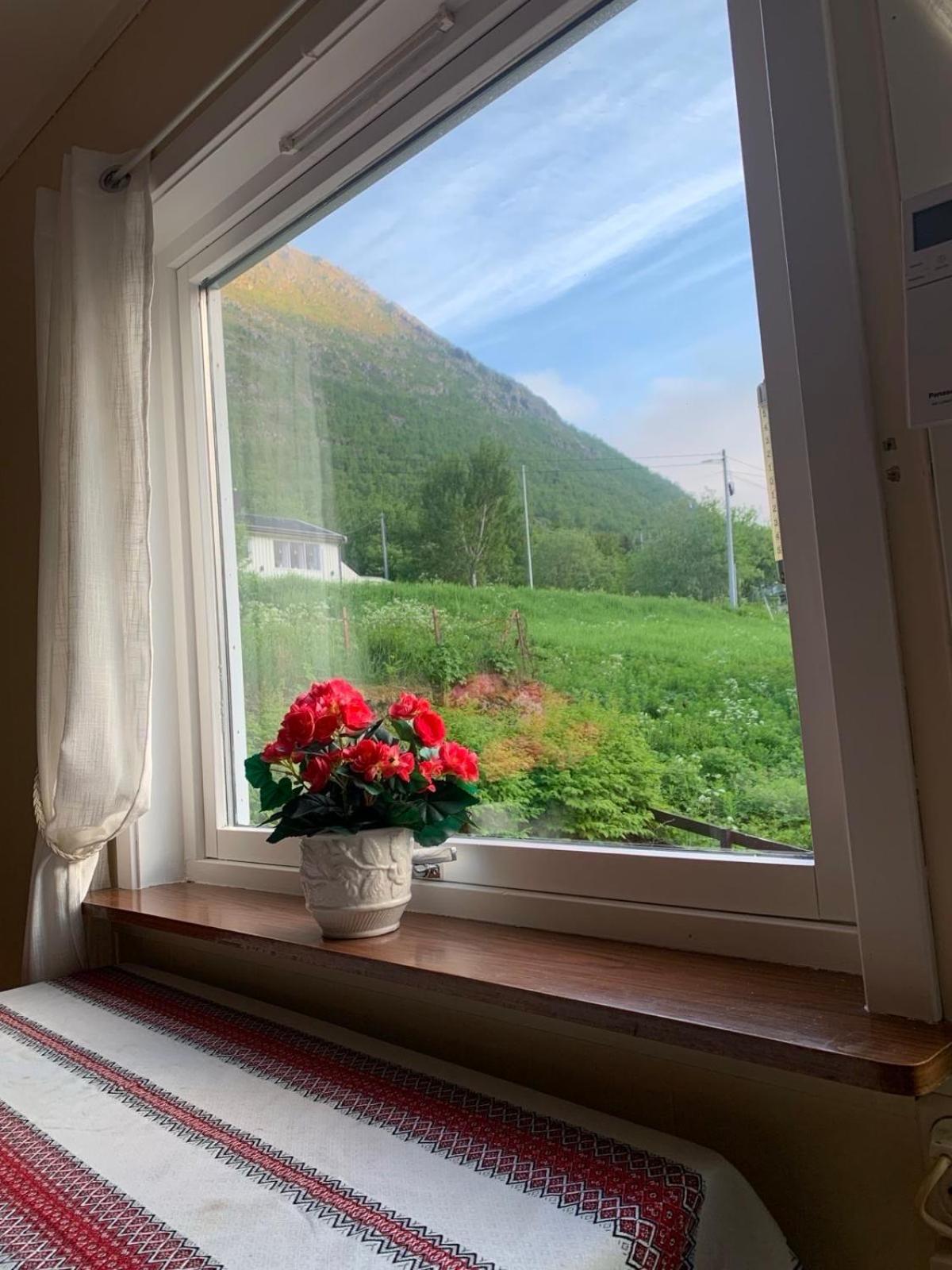 شقة House Gryllefjord المظهر الخارجي الصورة